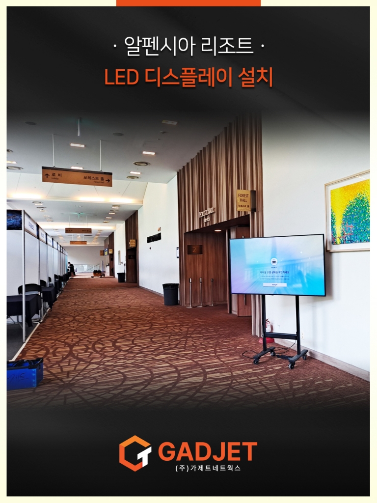 [알펜시아 리조트] 멀티비젼 디스플레이